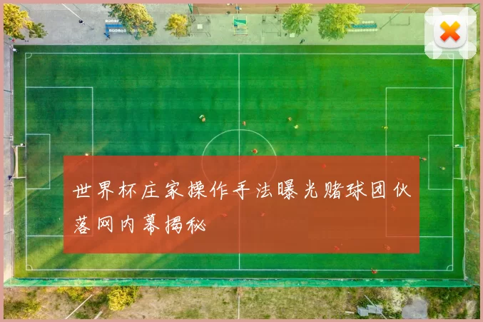 世界杯庄家操作手法曝光赌球团伙落网内幕揭秘