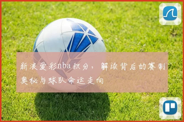 新浪爱彩nba积分，解读背后的赛制奥秘与球队命运走向