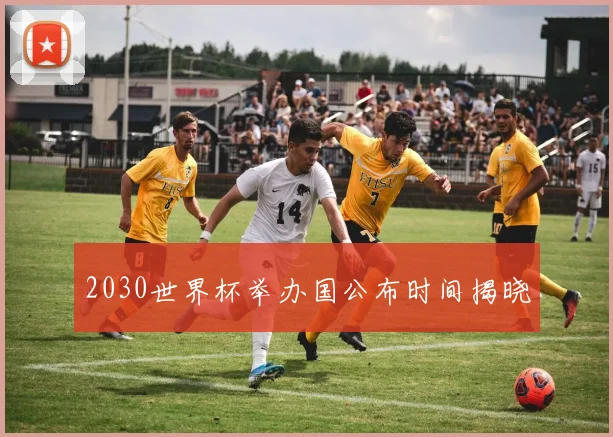 2030世界杯举办国公布时间揭晓