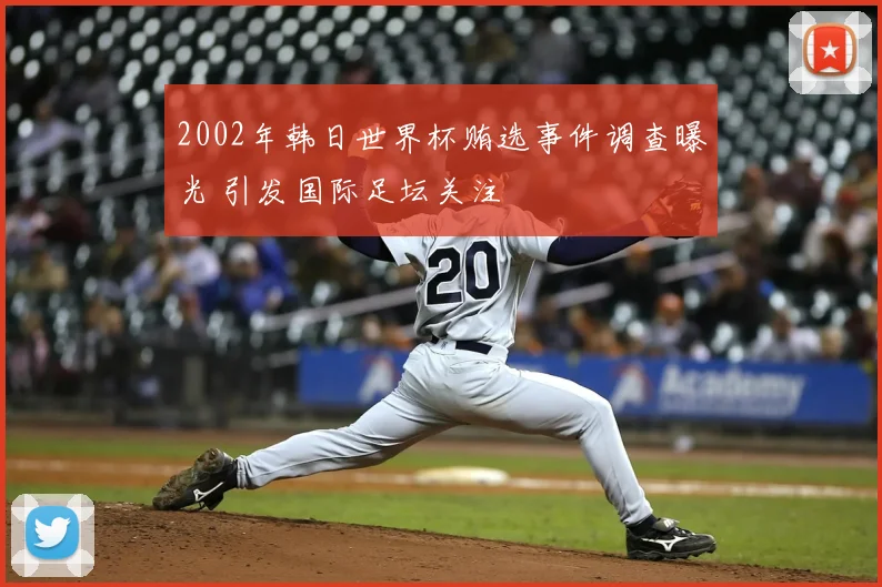 2002年韩日世界杯贿选事件调查曝光 引发国际足坛关注