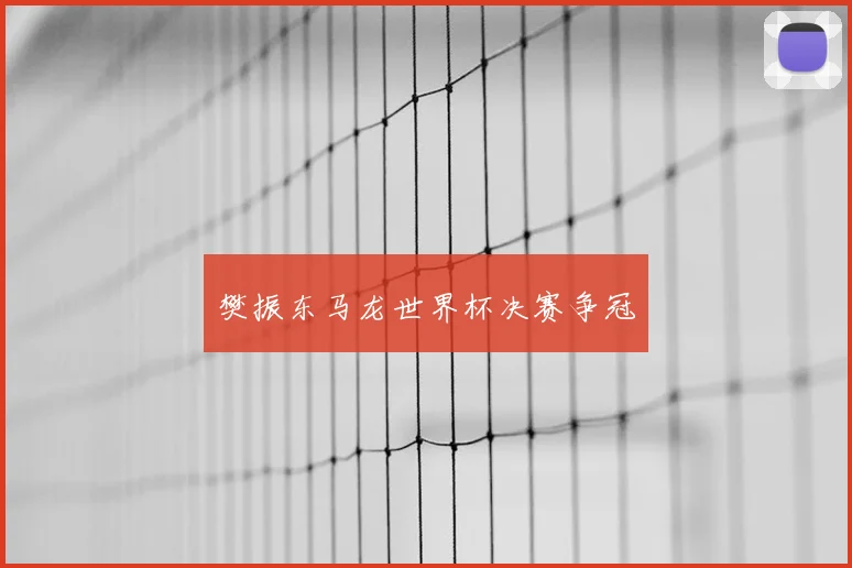 樊振东马龙世界杯决赛争冠
