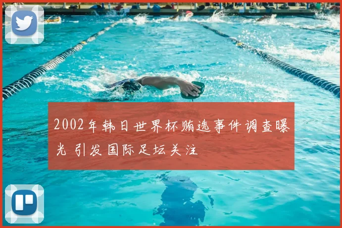 2002年韩日世界杯贿选事件调查曝光 引发国际足坛关注